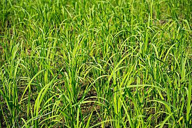 Steam新游周报：超人克兰回归！