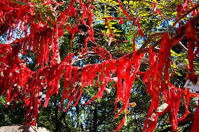 表现强劲！《第一后裔》登顶Steam销量榜